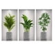 thumbnail image 1 of Calcomanías de pared autoadhesivas duraderas con diseño de plantas para despegar y pegar, para una decoración del hogar sin esfuerzo (paquete de 3), 1 of 4