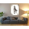 thumbnail image 3 of Epic Graffiti 'Rustic Black Stallion II' by Ethan Harper Canvas Wall Art, 40"x54", 3 of 3