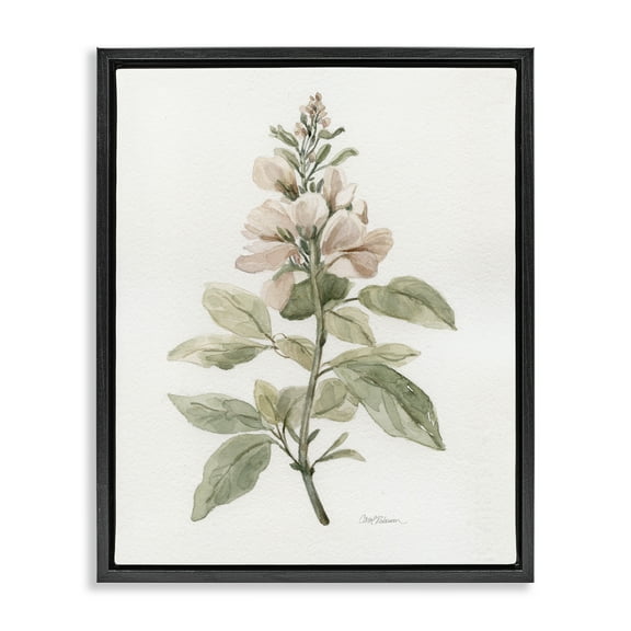 Stupell Industries Subtle Watercolor Botanicals Plants & Flowers Painting Black Floater Framed Canvas Art Print Wall Art, 17 x 21