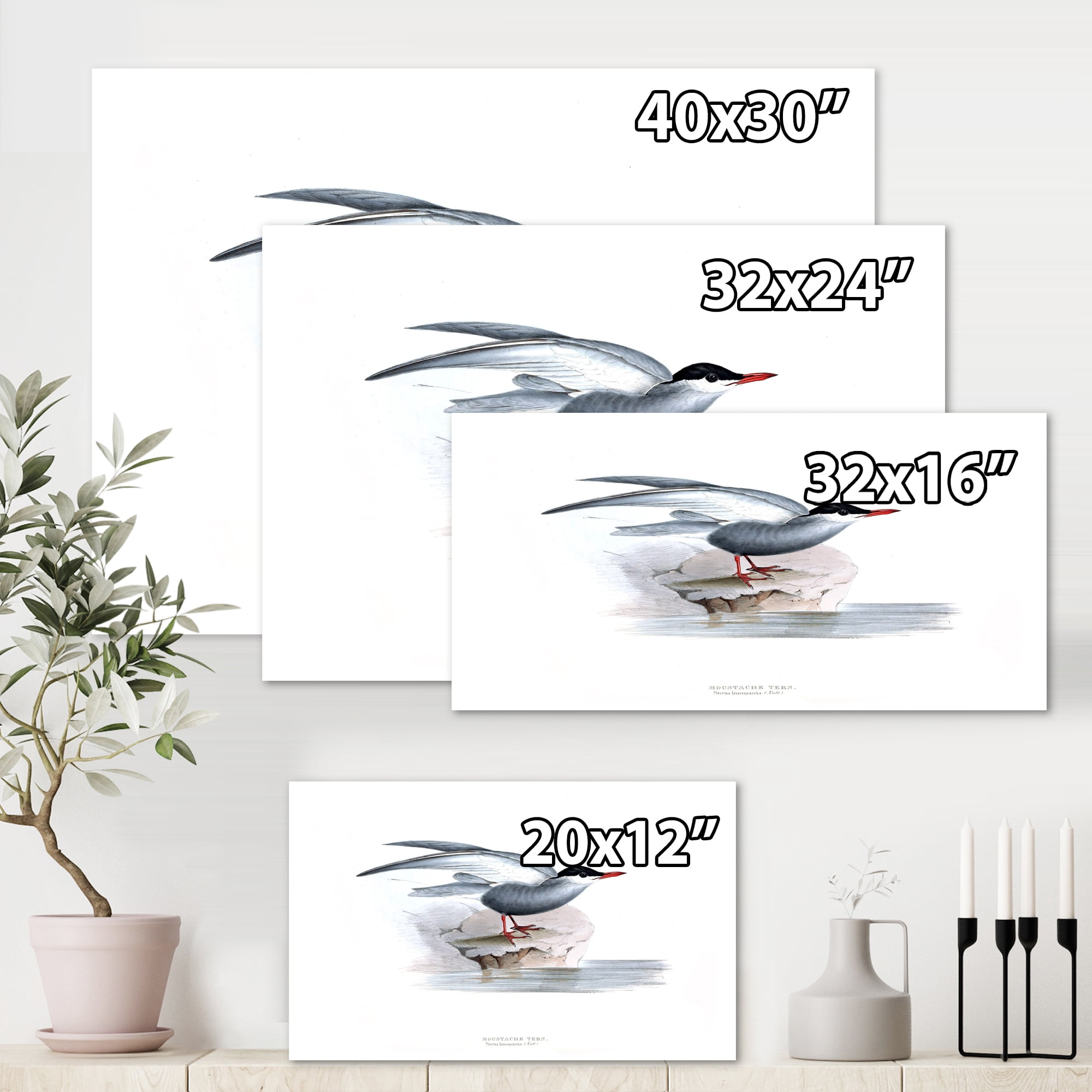 Designart ' Ancient Bird Of Europe I ' Traditional Canvas Wall Art Print