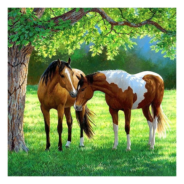Pájaro caballo lienzo pintura por números aceite pintado a mano dibujo Kit decoración del hogar
