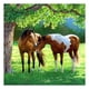 thumbnail image 1 of Pájaro caballo lienzo pintura por números aceite pintado a mano dibujo Kit decoración del hogar, 1 of 9