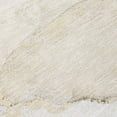 thumbnail image 3 of Addison Rugs Machine Washable Indoor/ Outdoor Abstract Chantille Rug 10' x 14' - Beige, 3 of 5