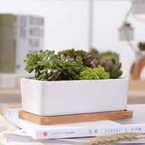 CIMAXIC Flowerpot White Porcelain 2Pcs 6.7x3.5x0.4in