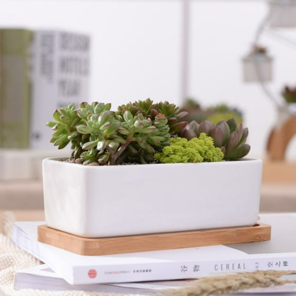 CIMAXIC Flowerpot White Porcelain 2Pcs 6.7x3.5x0.4in