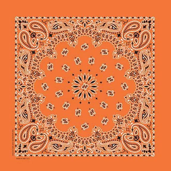 Hav-A-Hank Paisley Bandana - Orange, 22" W x 22" L