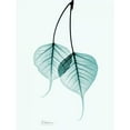 thumbnail image 3 of Koetsier, Albert 19x24 Black Modern Framed Museum Art Print Titled - Bodhi Tree Teal, 3 of 5