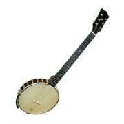 Gold Tone 6-String Open Back Banjitar w/ Hard Case