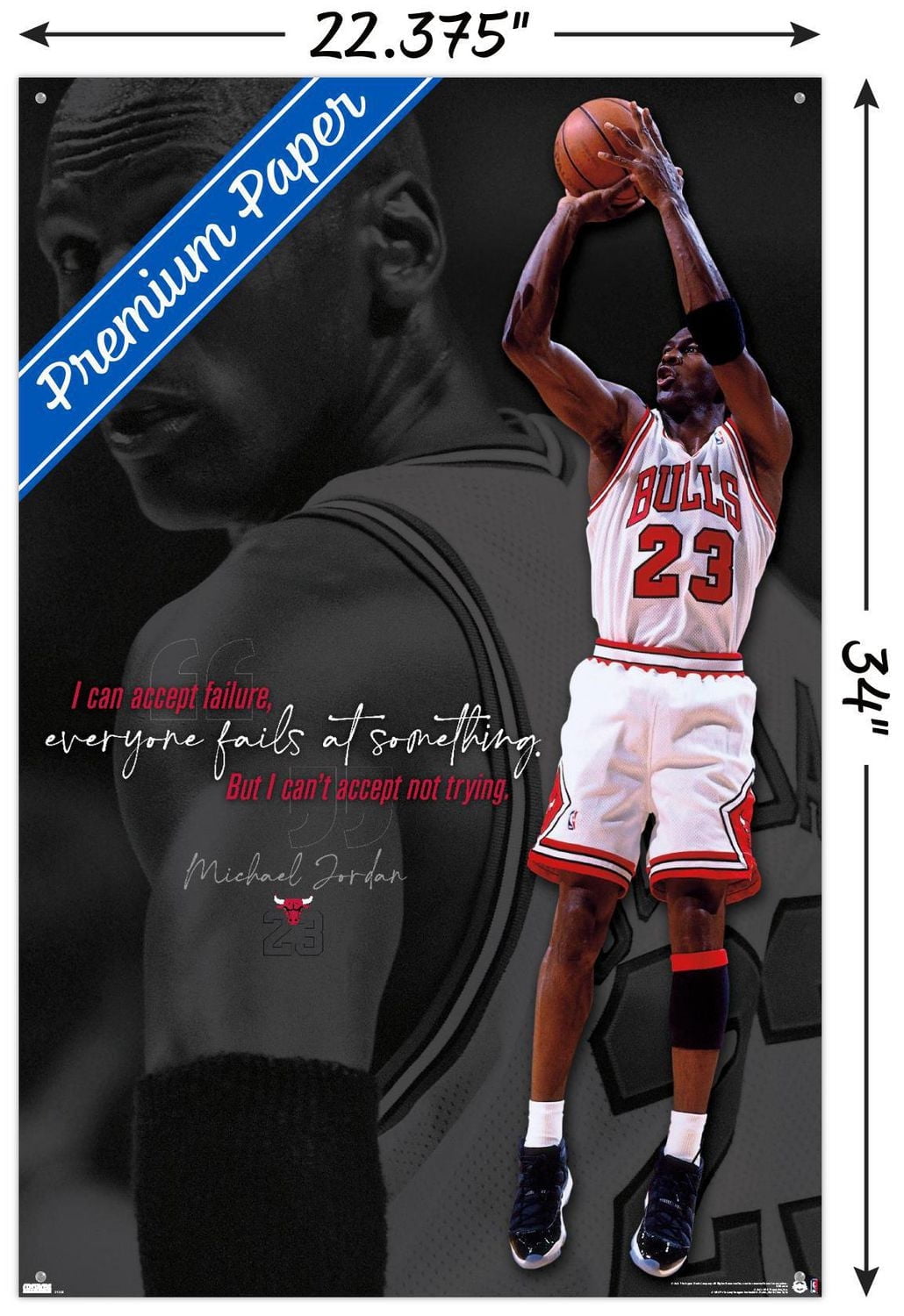 Michael Jordan - Can't Accept Not Trying Wall Poster, 22.375" x 34"