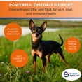 thumbnail image 4 of EZ-CHEW Omega 3 Max Strength Soft Chews for Small & Medium Breeds (60 count), 4 of 8