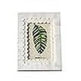 thumbnail image 2 of Creative Co-Op White Scalloped Bone & Wood Holds 4" x 6" Photo Frame, 2 of 4