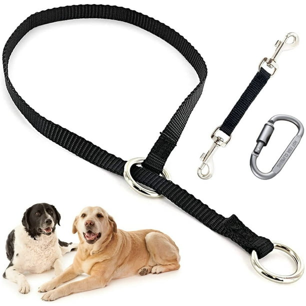 Backup Collar, Double Ended Clip and Carabiner for Prong Collar, Ph ...