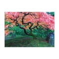thumbnail image 1 of Ambesonne Japanese Jigsaw Puzzle, Red Leaf Maple in Garden, Heirloom-Quality Fun Activity for Family Durable Cardboard, 1000 pcs, Green, 1 of 5