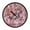 Pink Roses, variant on Voice Activated Clock with Glow Light 12 Inch Large Silent Wall Clock Battery Operated for Home Decor Light Pink Wooden Floor
