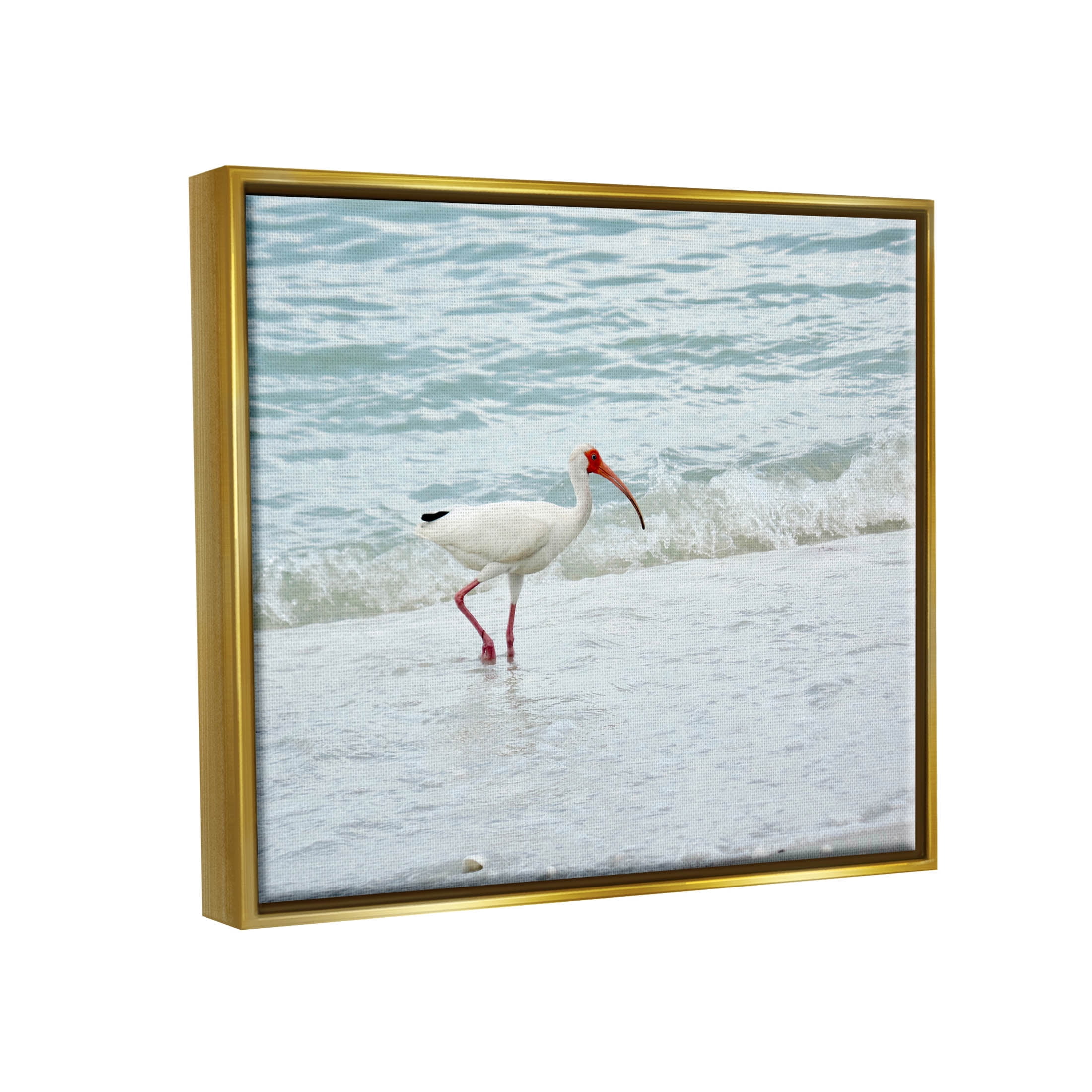 Bird Stepping Sea Waves Splash Animals & Insects Photograph Metallic Gold Framed Art Print Wall Art