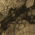thumbnail image 1 of Ahgly Company Indoor Square Patterned Light Brown Area Rugs, 6' Square, 1 of 6