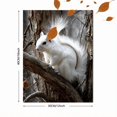thumbnail image 3 of White Squirrel Canvas Print, Ideal for Living Room Bedroom Office Study Dining Room Nursery, 3 of 8