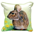 thumbnail image 3 of Rabbit Small Indoor/Outdoor Pillow 12x12, 3 of 3