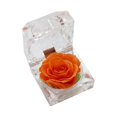thumbnail image 1 of Romantic Ring Box Handmade Plastic Nice-looking Forever Rose Jewelry Box For Anniversary Jikaix - Jxlgv, 1 of 5