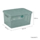 thumbnail image 2 of Kit 4 Cajas Organizadoras de Plástico Biodegradable Terragave  Tipo Rattan (Menta), 2 of 5