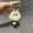 B0550 Plush Lucky Cat [Off-White], variant on Imitation Rex Rabbit Fur Cute Lucky Cat with Bell Plush Pendant Keychain Bag Pendant Versatile Plush Keychain