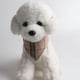 thumbnail image 3 of blue Collar de perro a cuadros con lazo, el mejor regalo para mascotas para perros machos pequeños, medianos y grandes, beige y marrón, 3 of 4