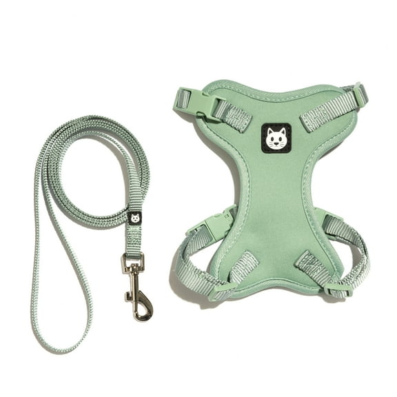 Vibrant Life Mesh Cat Harness & Leash Set, Sage, One Size Fits Most