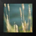 thumbnail image 2 of Poinski, Dianne 12x12 Black Modern Framed Museum Art Print Titled - Bountiful Beauty 1, 2 of 5