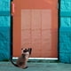 thumbnail image 4 of Protector de puerta contra rasguños de perros, protector de marco de puerta para ventana, silla, protector de pared, transparente, 4 Uds., 4 of 5