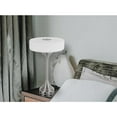 thumbnail image 4 of Cal Lighting Espoo 25W X 3 Metal Desk/Table Lamp With Frosted Glass Shade, 4 of 6