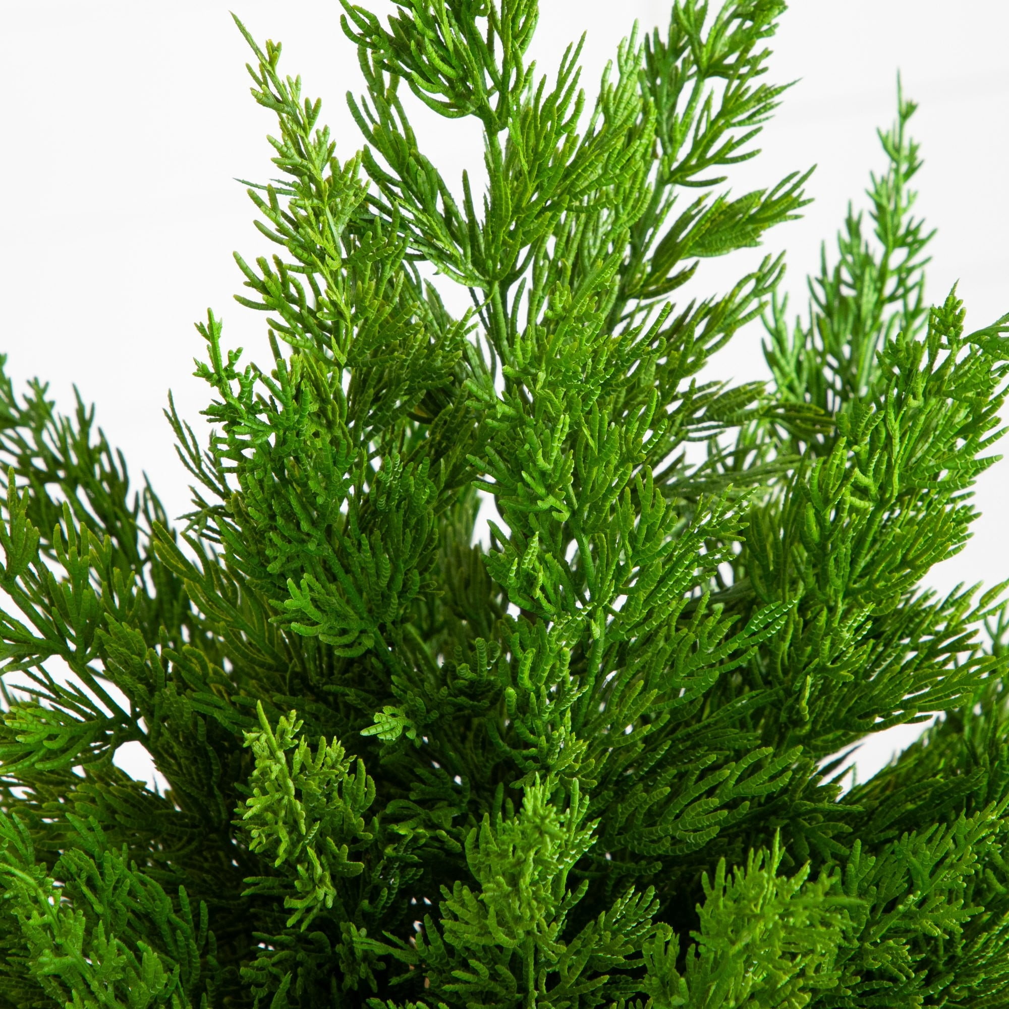 18in. Artificial Real Touch Winter Cypress Bush in Moss Planter