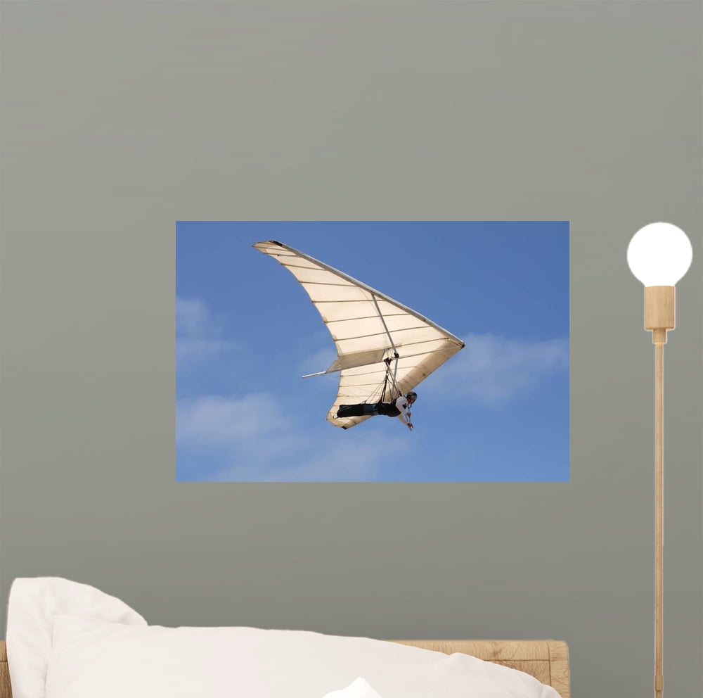 Hang Gliding off California Wall Mural by Wallmonkeys Peel and Stick ...