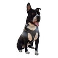 thumbnail image 2 of Pechera De Piel Para Perro, Reforzada Mascota Grande-mediana, 2 of 6