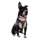 thumbnail image 2 of Pechera De Piel Para Perro, Reforzada Mascota Grande-mediana, 2 of 2
