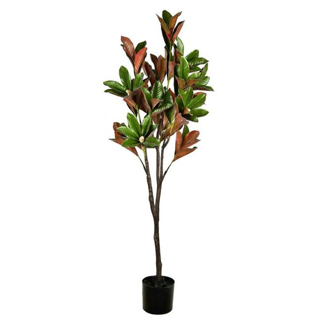 Vickerman FH190260 6 ft. Green Potted Magnolia Tree in Pot