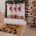 thumbnail image 3 of Summer Doormats Outdoor Entrance Funny Door Mats Welcome Mat Outdoor Spring Front Door Rug Outdoor Home Decor Patio Stuff for Outside Sturdy Door Mats for Home Entrance Outdoor Indoor, 16x24 Inch, 3 of 7