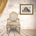 thumbnail image 3 of Morris, Arthur 24x17 Gold Ornate Wood Framed with Double Matting Museum Art Print Titled - Great Britain, London Close-up of pochard duck, 3 of 4