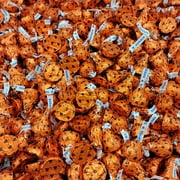 Hershey's Kisses Chocolate Candy with Hazelnut - Individually Wrapped Orange Candy Kisses 1 Pound
