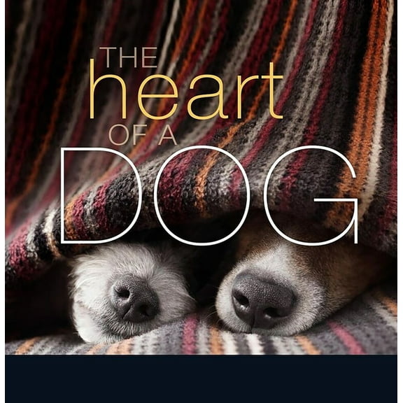 Heart of a Dog