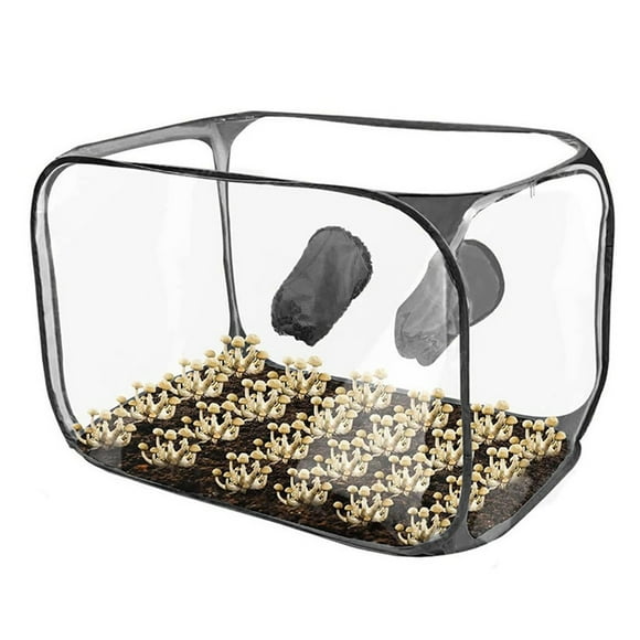 Still Air Box, Mushroom Grow Kit, Portable Compact Still Air Box Mycology