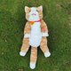 thumbnail image 2 of Simulation Pet Backpack, Touch-Sensitive Singing Electric Plush Bag,B, 2 of 5