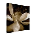 thumbnail image 2 of Trademark Fine Art 'Bronze Lily VI' Canvas Art by Noah Bay, 2 of 4