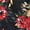 Black Floral, variant on Women's Back to School Lace Trim V-Neck Nightgown Adjustable Strap Silky Sleepwear Chemise Knee Length Pajama Dress M Leopard
