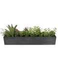 thumbnail image 4 of Northlight Artificial Mixed Succulents in Wooden Planter - 23", 4 of 5