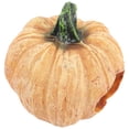 thumbnail image 1 of unbranded De Acuario Con Calabaza De Resina Para Paisajismo Acuático, 1 of 6