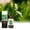 F001- Multicolor, variant on Plant Food for Houseplants, Liquid Fertilizer, Houseplant Food, Root Starter for Plant Cuttings, Glass Bottle with Dropper, 3.38 Fl Oz, indoor Gardening, 1 Pc
