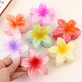 thumbnail image 3 of Pinzas para el pelo con degradado de flores para mujer, horquillas para el pelo, pinzas para el pelo para niña, pasadores de cangrejo, accesorios para el cabello para mujer, 3 of 4