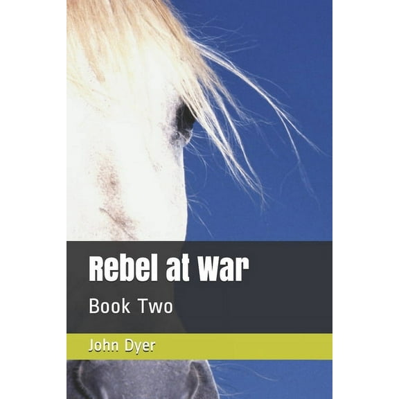 Rebel at War: Book Two (Paperback)