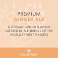 thumbnail image 4 of Fever-Tree Refreshingly Light Ginger Ale 500ml, British Import (Pack of 6), 4 of 5