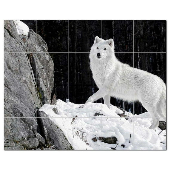Wolf Wolves Ceramic Tile Mural Kitchen Backsplash Bathroom Shower, 403124-L54